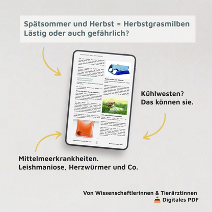 WMW Das Magazin - Ausgabe 08/26 (Aktuelle Ausgabe)