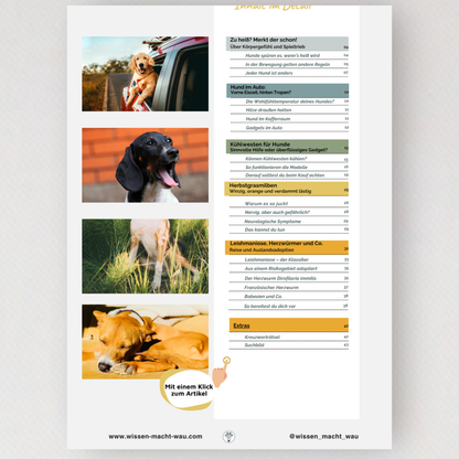 WMW Das Magazin - Ausgabe 08/26 (Aktuelle Ausgabe)