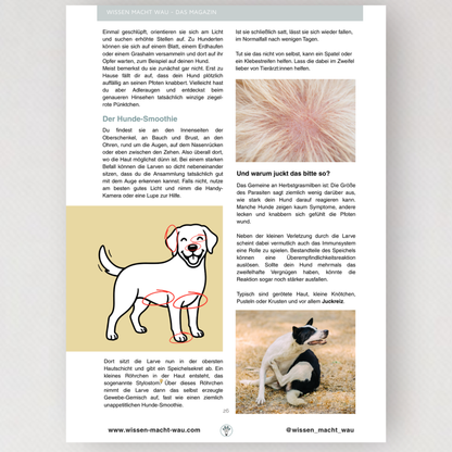 WMW Das Magazin - Ausgabe 08/26 (Aktuelle Ausgabe)