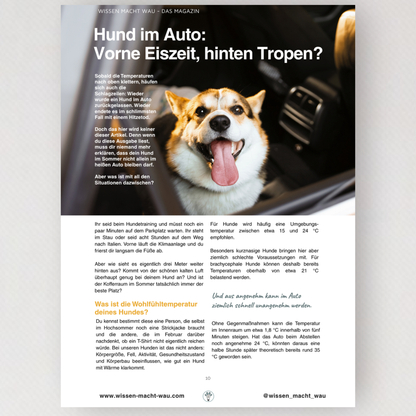 WMW Das Magazin - Ausgabe 08/26 (Aktuelle Ausgabe)