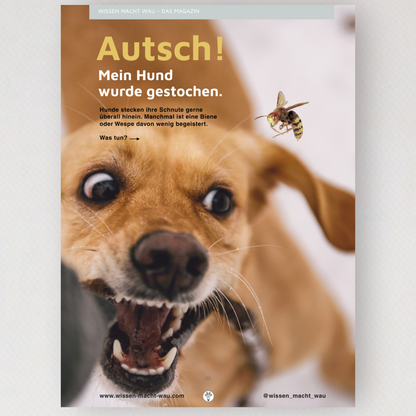WMW Das Magazin - Ausgabe 08/26 (Aktuelle Ausgabe)