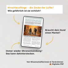 WMW Das Magazin - Herbstausgabe 09/25