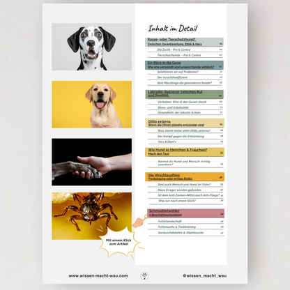 WMW Das Magazin - Herbstausgabe 09/25