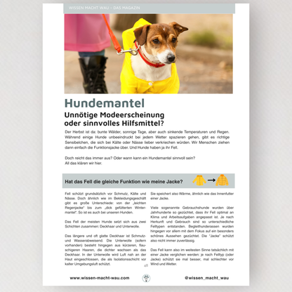 WMW Das Magazin - Herbstausgabe 09/25