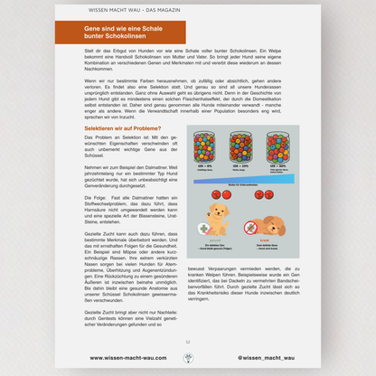 WMW Das Magazin - Herbstausgabe 09/25