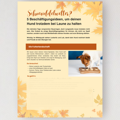 WMW Das Magazin - Herbstausgabe 09/25