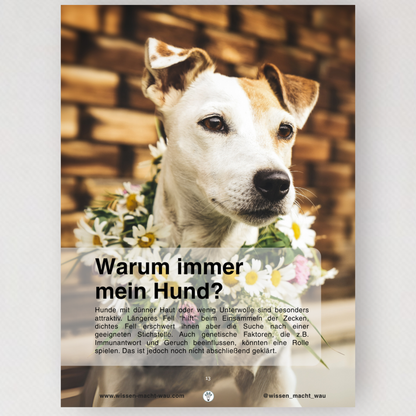 WMW Das Magazin - Zecken Grundlagen