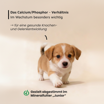 Mineralfutter für Hunde "Junior"
