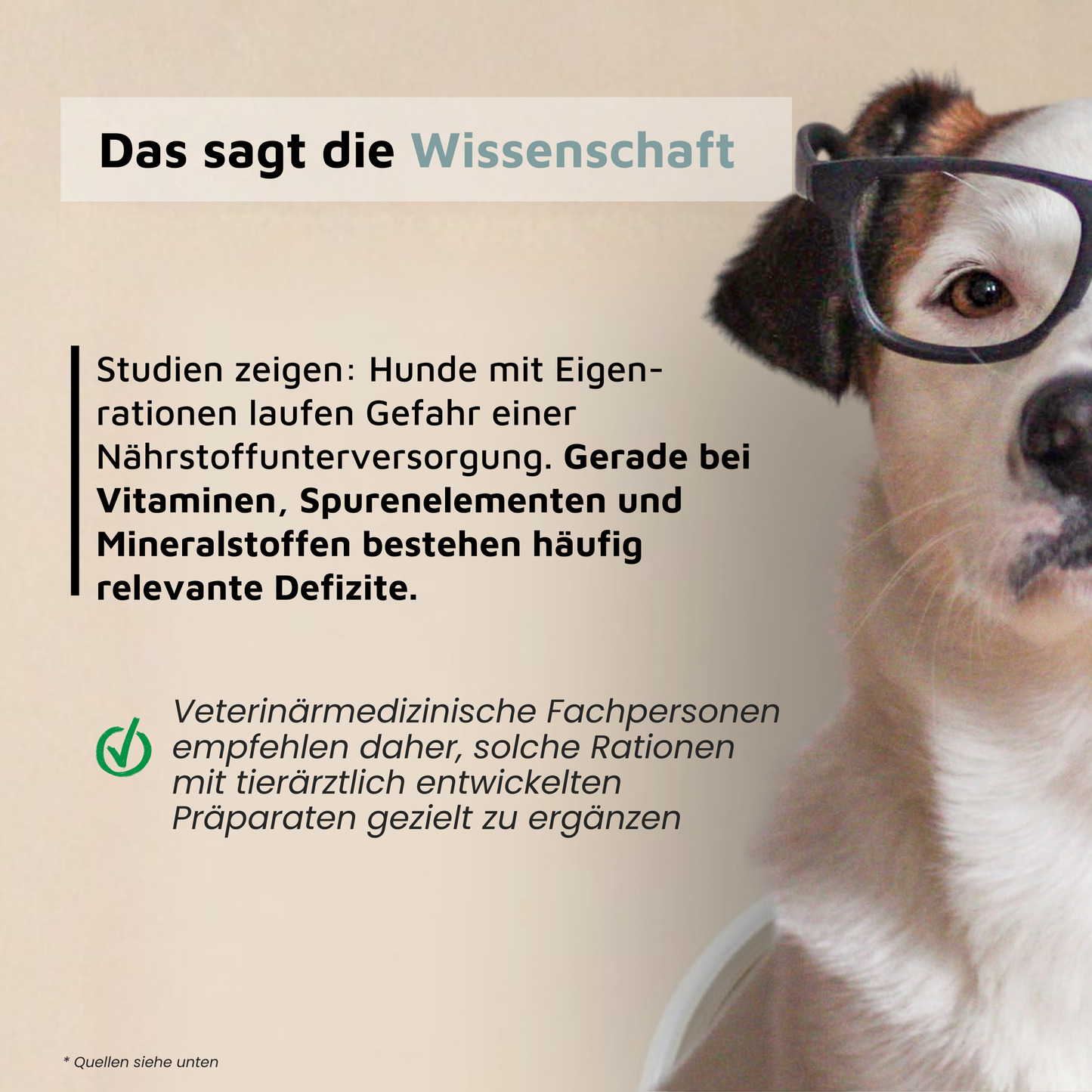 Mineralfutter für Hunde "Junior"