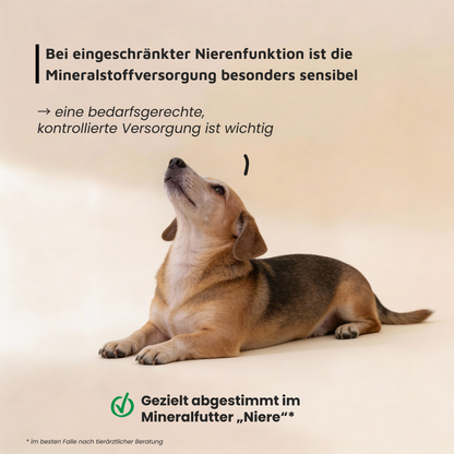 Mineralfutter für Hunde "Niere"