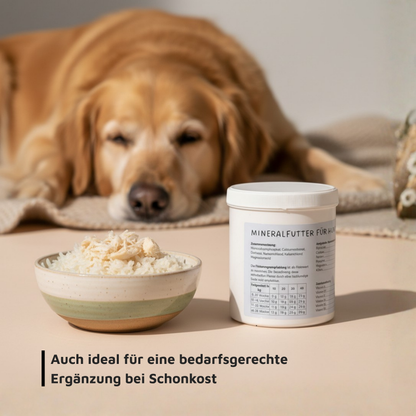 Mineralfutter für Hunde "Niere"