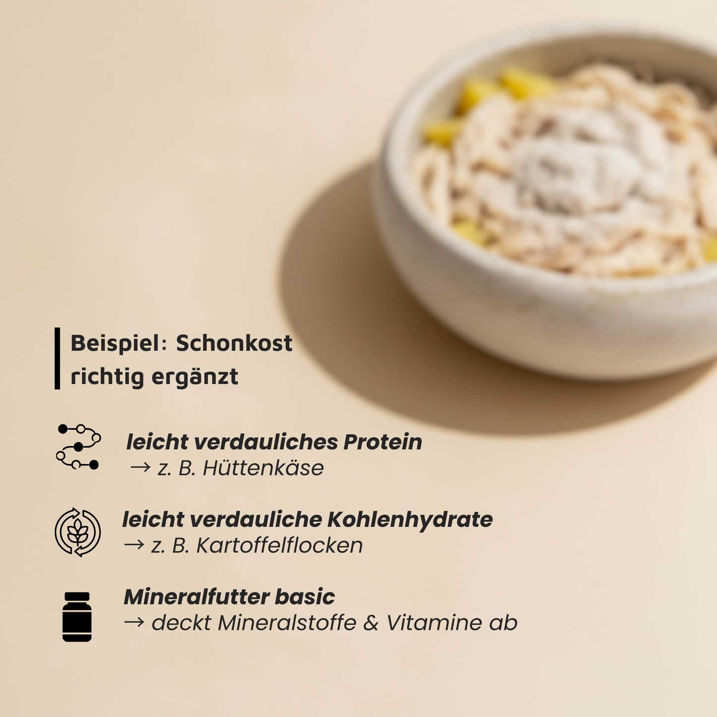 Mineralfutter für Hunde "Senior"