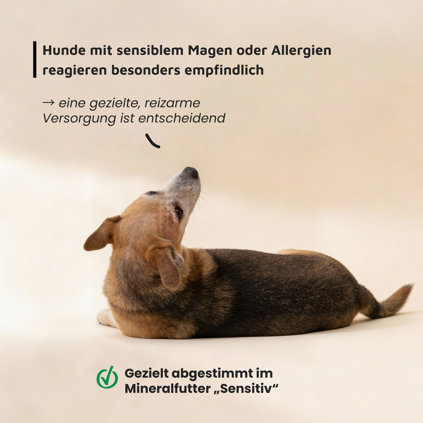 Mineralfutter für Hunde "Sensitiv"