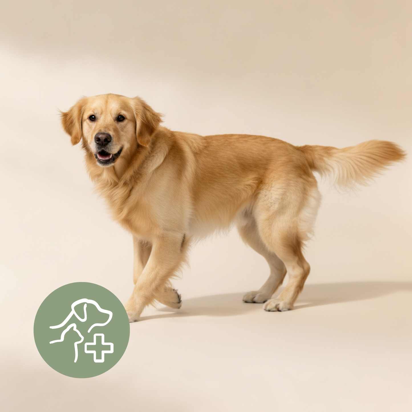 Mineralfutter für Hunde "Basic"