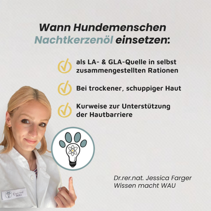 Nachtkerzenöl - Reich an Gamma-Linolensäure (GLA)