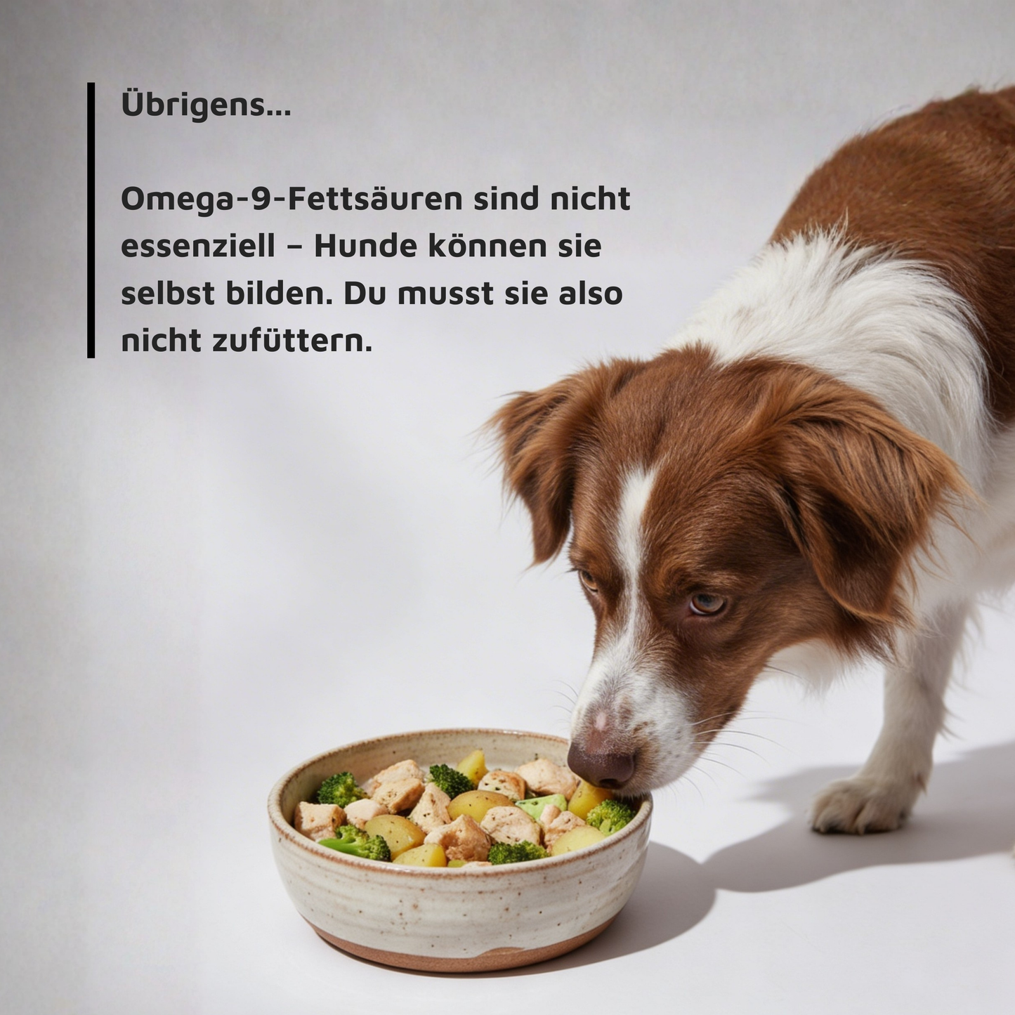 Öl in One - veganes Omega-3 & Omega-6 in einer Flasche