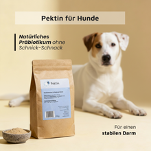 Pektin - Präbiotischer Ballaststoff für die Darmgesundheit