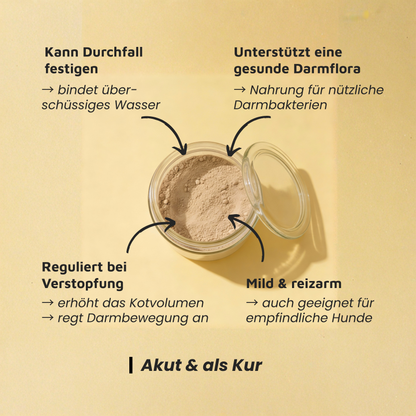 Pektin - Präbiotischer Ballaststoff für die Darmgesundheit