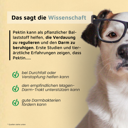 Pektin - Präbiotischer Ballaststoff für die Darmgesundheit