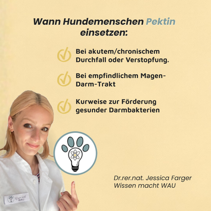 Pektin - Präbiotischer Ballaststoff für die Darmgesundheit