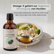 foten Algenöl Zusammensetzung – vegane Omega-3 Quelle für Hunde und Katzen