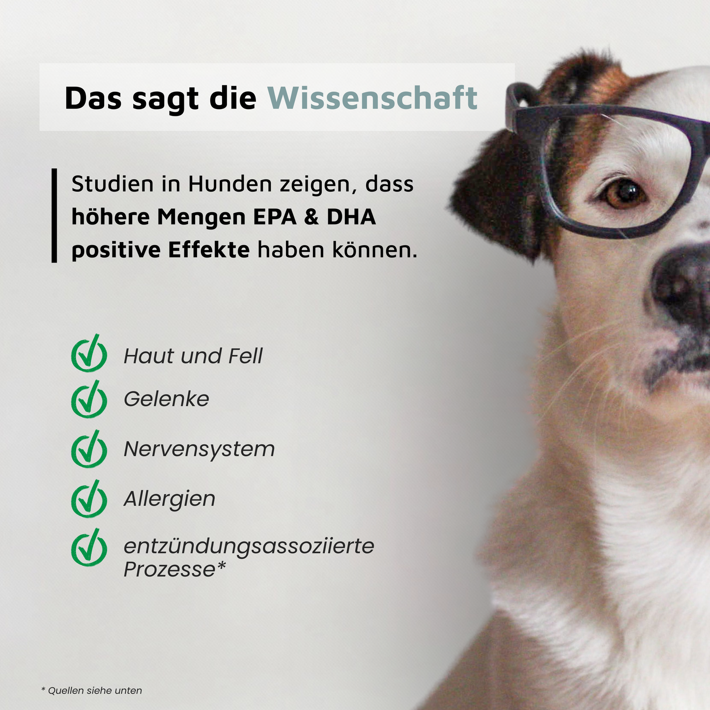 foten Algenöl – EPA und DHA aus Mikroalgen, mehrfach aufgereinigt für optimale Qualität