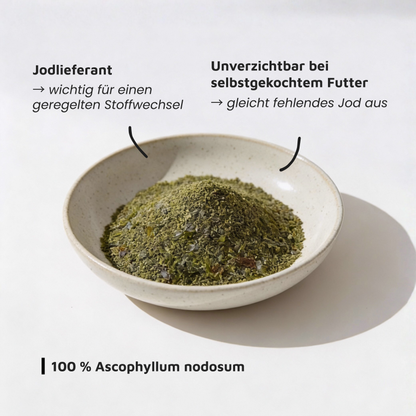 Seealgenmehl - Natürliche Jodquelle