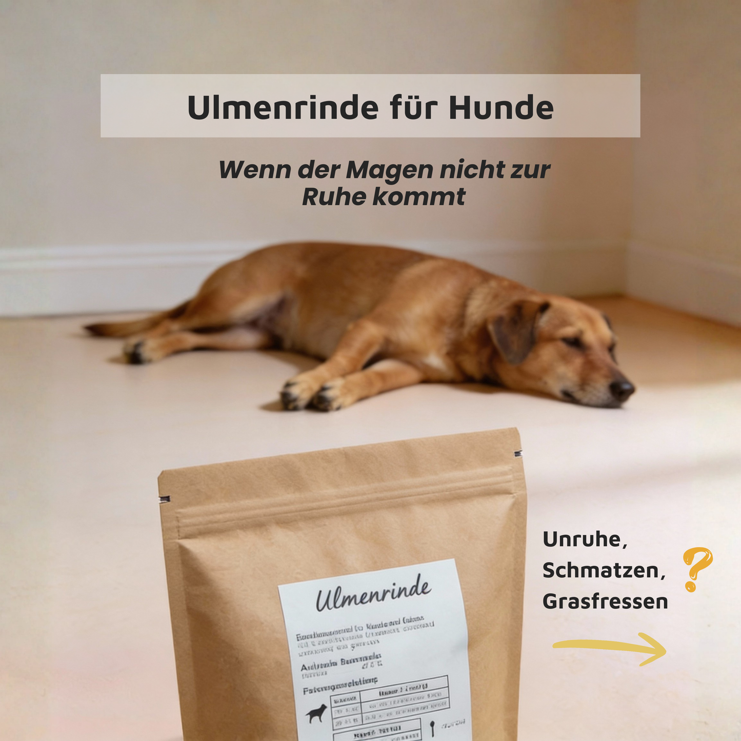 Ulmenrinde - Traditionell bei empfindlichem Magen-Darm-Trakt