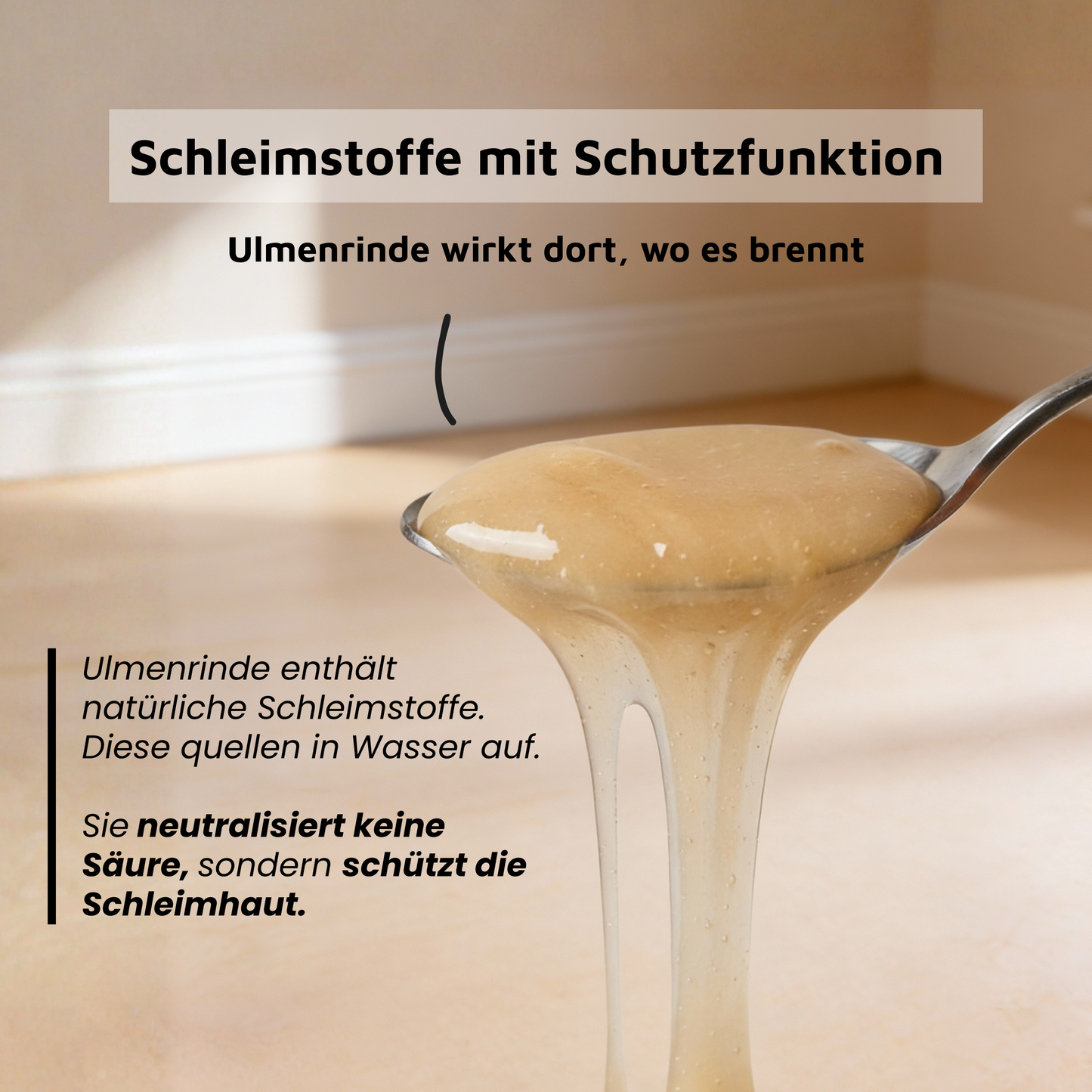 Ulmenrinde - Traditionell bei empfindlichem Magen-Darm-Trakt