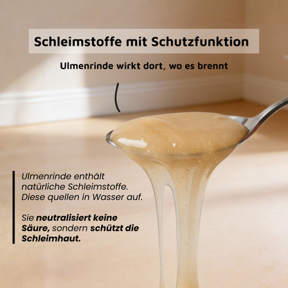 Ulmenrinde - Traditionell bei empfindlichem Magen-Darm-Trakt