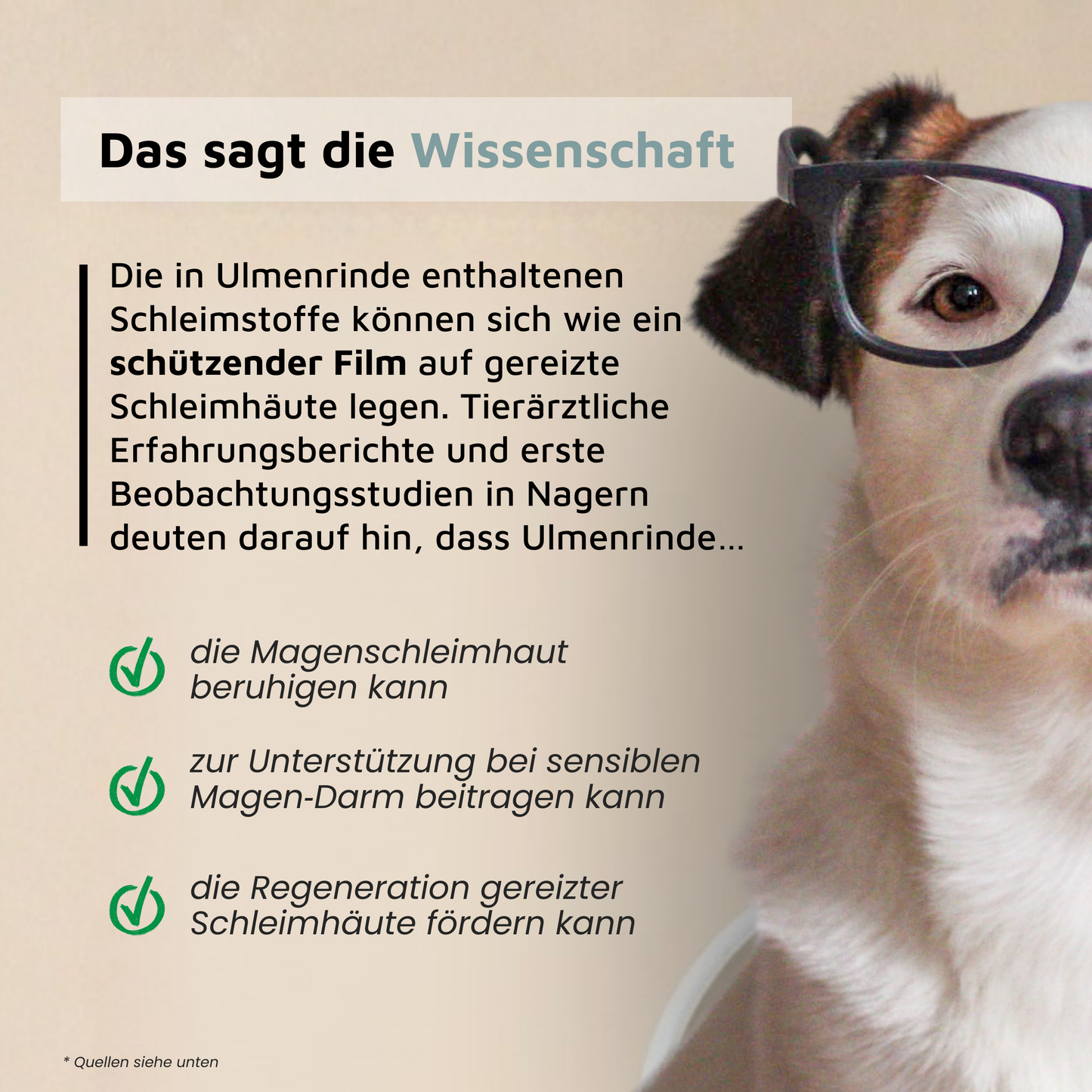 Ulmenrinde - Traditionell bei empfindlichem Magen-Darm-Trakt