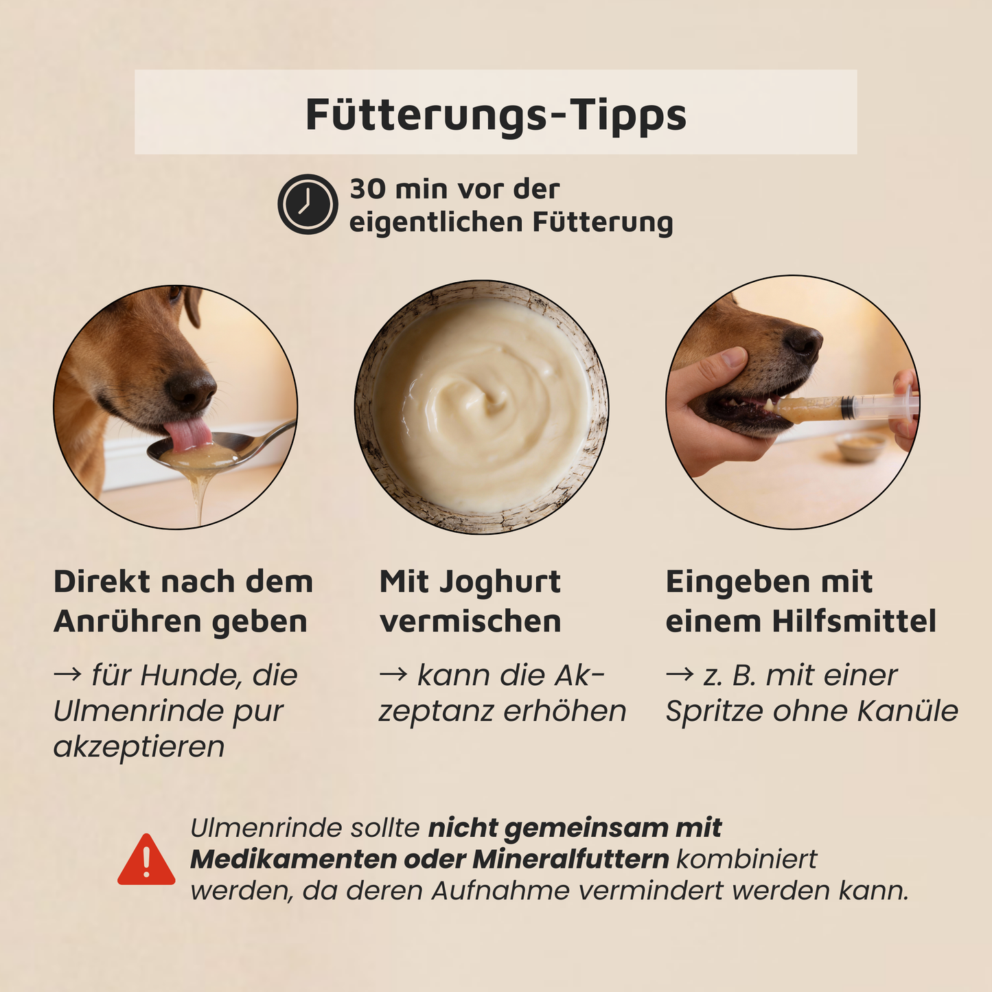 Ulmenrinde - Traditionell bei empfindlichem Magen-Darm-Trakt