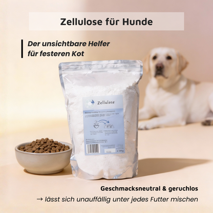 Zellulose - Kalorienfreier Ballaststoff für Sättigung & Kotkonsistenz
