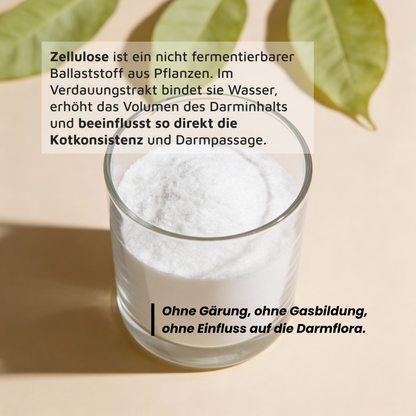 Zellulose - Kalorienfreier Ballaststoff für Sättigung & Kotkonsistenz
