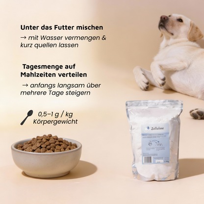 Zellulose - Kalorienfreier Ballaststoff für Sättigung & Kotkonsistenz