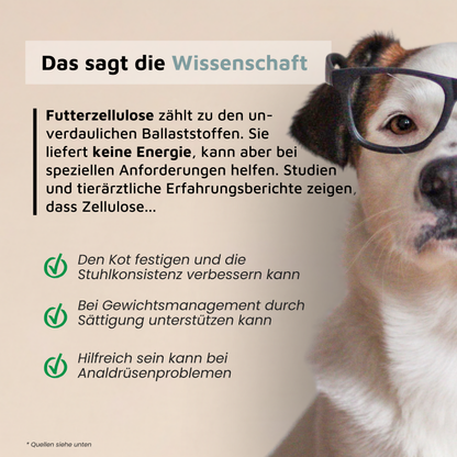 Zellulose - Kalorienfreier Ballaststoff für Sättigung & Kotkonsistenz