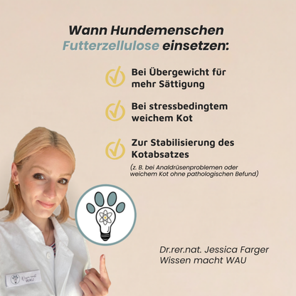 Zellulose - Kalorienfreier Ballaststoff für Sättigung & Kotkonsistenz
