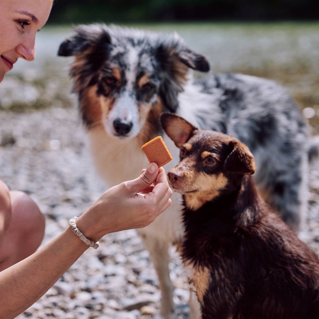 JERKEYS - hypoallergener Snack für Möhrenliebhaber