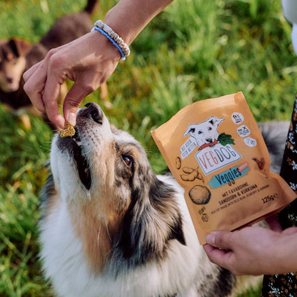 VEGGIES immune - veganer Snack mit Favabone, Sanddorn & Curcuma